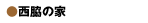 ���e�̉�