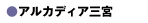 �A���J�f�B�A�O�{